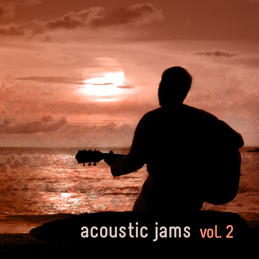 Cover for Acoustic Jams Vol. 2